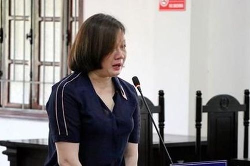 Lừa đảo, nữ cán bộ Thanh tra tỉnh lãnh 30 năm tù