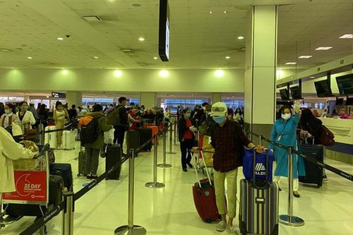 Đưa 344 công dân Việt Nam từ Australia và New Zealand về nước