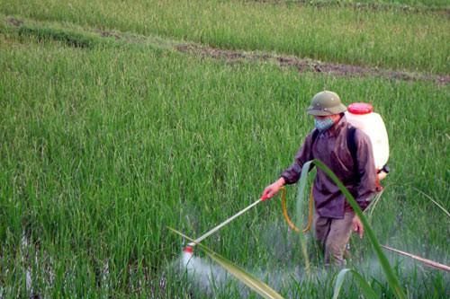Bộ Nông nghiệp đề nghị bỏ dự trữ quốc gia đối với thuốc trừ sâu bệnh
