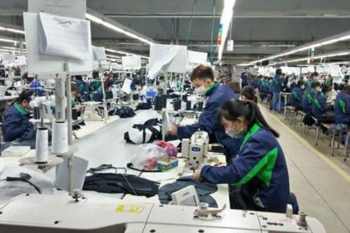 Tín hiệu khả quan trên thị trường lao động