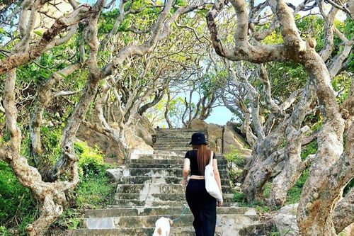 3 điểm du lịch có hàng sứ cổ thụ hút khách check-in