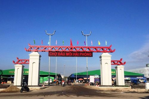 Hải Phòng: Xem xét kỷ luật nhiều cán bộ, đảng viên