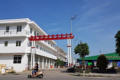 Hải Phòng: Xem xét kỷ luật Chủ tịch UBND quận Hồng Bàng