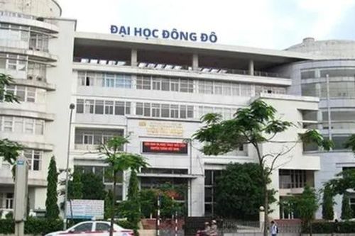 Bắt giam cựu Trưởng phòng Tài chính kế toán Đại học Đông Đô