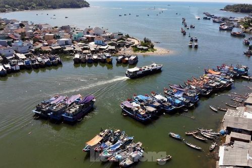 Bộ Văn hóa nói gì về văn bản 'xin' 400 vé máy bay của Tổng cục Du lịch?