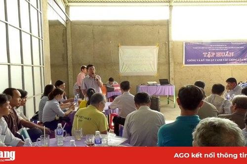 Tập huấn kỹ thuật canh tác giống lúa mới cho nông dân