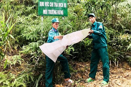 Chi trả tiền dịch vụ môi trường rừng: Khó khăn khi thực hiện cho chủ rừng cá nhân