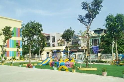 Không nên vội vã đốn bỏ cây xanh trong trường học, công sở