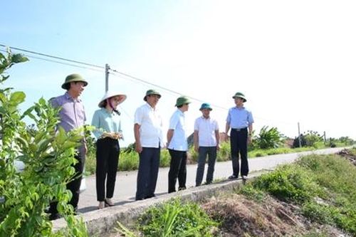 Đồng chí Phó Chủ tịch UBND tỉnh kiểm tra công tác phòng chống thiên tai tại Kim Sơn