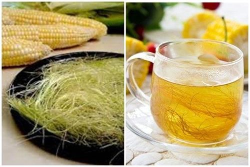 Ngô - vị thuốc dân dã phòng trị nhiều bệnh