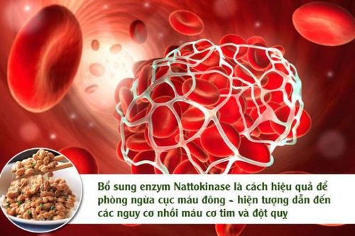 Phân biệt giữa Nattokinase được Hiệp hội JNKA chứng nhận và Nattokinase khác