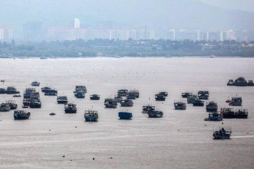 Bão Nisarga mạnh lên khi đổ bộ vào Mumbai