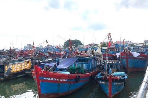 Tiềm ẩn nguy cơ từ việc tàu cá mất kết nối thiết bị giám sát hành trình