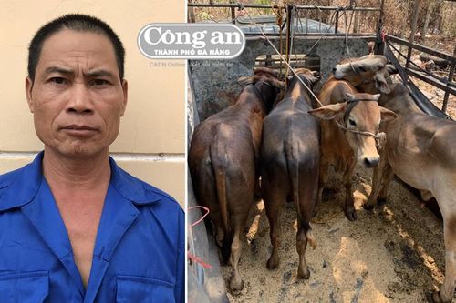 Lòng tham bất chợt của lão nông từng lầm lỡ
