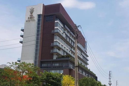 Vừa nộp đơn nghỉ việc, nhân viên khách sạn rơi từ tầng 9 tử vong