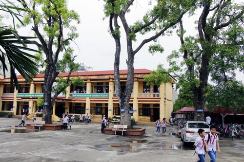 Hà Nội cần thống nhất trong quản lý cây xanh ở trường học