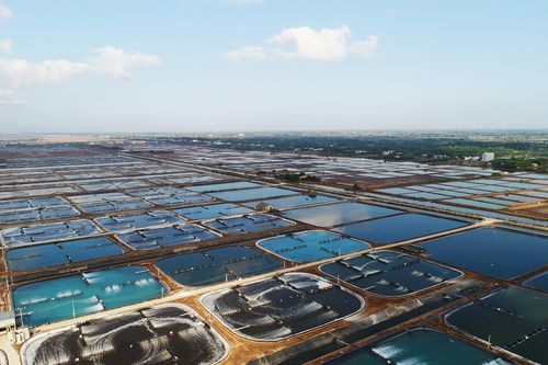 Tập đoàn PAN được vinh danh trong top 50 công ty niêm yết tốt nhất Việt Nam
