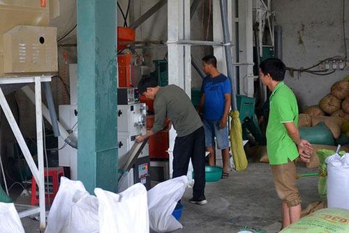 Hỗ trợ phát triển nông nghiệp bền vững