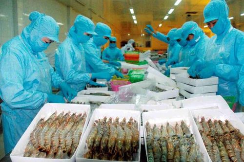 Giá trị xuất khẩu thủy sản ước đạt 2,81 tỷ USD