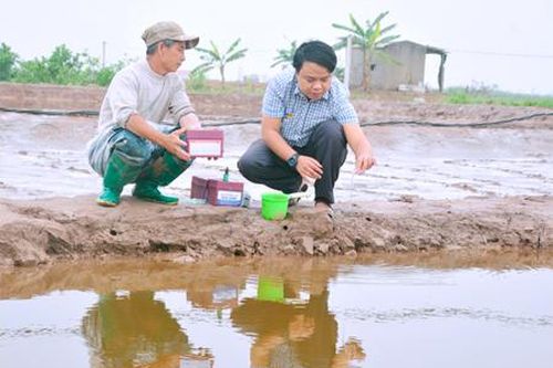 Khẩn trương áp dụng các biện pháp bảo vệ tôm nuôi trong thời tiết nắng nóng