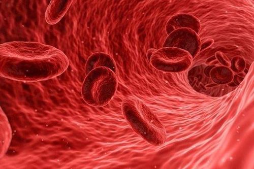 Phát hiện mới SARS-CoV-2 tấn công mạch máu gây tử vong