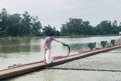 Thanh Trì: Kiên định tháo gỡ khó khăn, đẩy mạnh phát triển kinh tế nông nghiệp