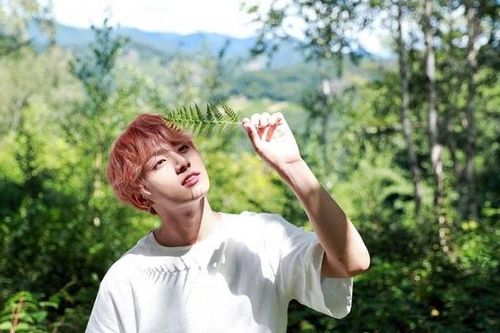 'Sập' trang vì fan kéo vào nghe hit mới 'Still With You' của Jungkook BTS