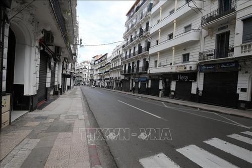 Algeria nối lại các hoạt động kinh tế, thương mại và dịch vụ từ ngày 7/6