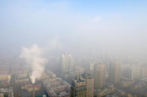 IMF kêu gọi chấm dứt việc trợ cấp nhiên liệu hóa thạch