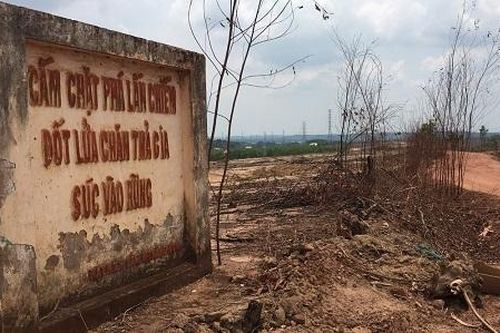 Đồng Nai: Đất rừng đang tranh chấp vẫn chuyển thành dự án khu dân cư