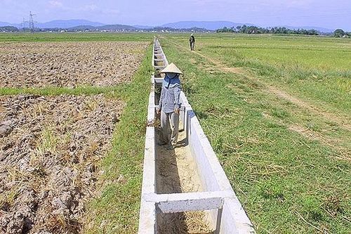 Nghệ An: Nhiều hồ chứa cạn trơ đáy, nguy cơ thiếu nước trầm trọng