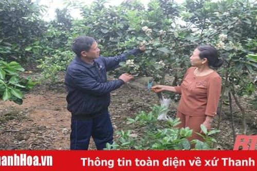 Phát huy vai trò 'Tuổi cao - gương sáng'