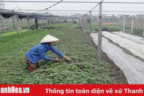 Xã Vạn Thắng nhiều giải pháp phát triển kinh tế, nâng cao thu nhập cho người dân