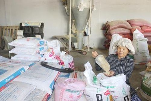 Chế biến thức ăn gia súc, gia cầm tăng trưởng trở lại
