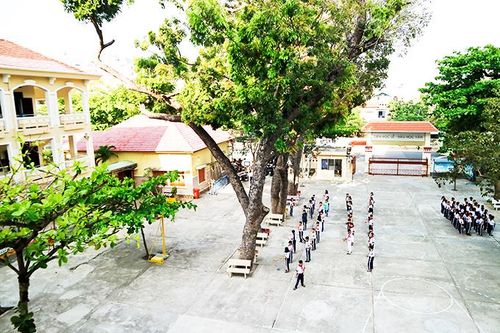 Giữ không gian xanh cho trường học
