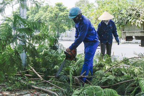 Đảm bảo an toàn hệ thống chiếu sáng, cây xanh đô thị mùa mưa bão