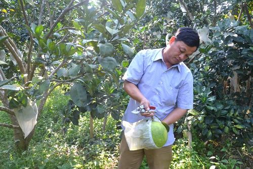 Trưởng thôn nói đi đôi với làm