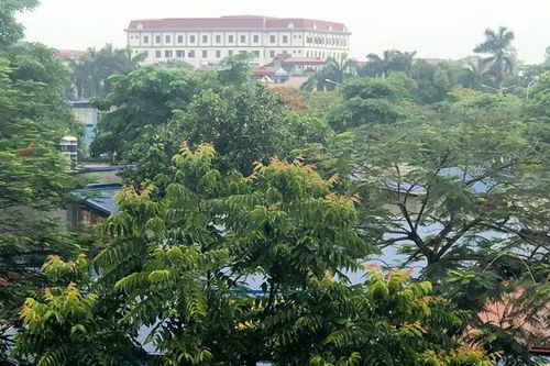 'Hành động vì thiên nhiên'