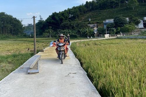 Nguy cơ mất an toàn giao thông mùa gặt