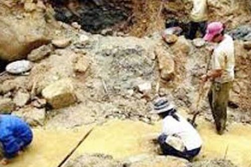 Phát hiện 21 hầm khai thác vàng trái phép tại rừng Hòa Bắc