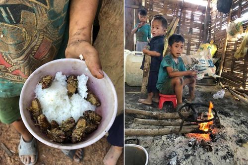 4 đứa trẻ ăn cơm nguội với ve sầu cả đời chưa biết 'mặt mũi' cái kẹo