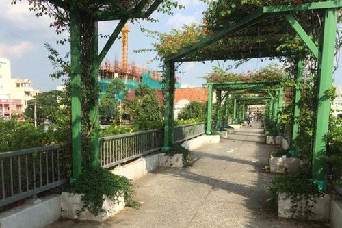 Thành phố Hồ Chí Minh có nhiều hoạt động hưởng ứng Ngày Môi trường thế giới