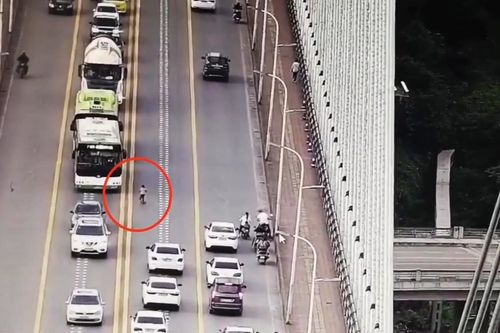 Bé trai chạy xe đồ chơi trên cầu đông đúc phương tiện
