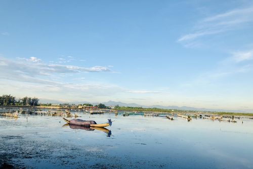 Thành lập khu bảo tồn thiên nhiên đất ngập nước