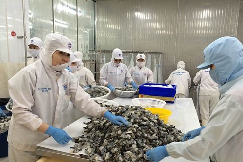 Sản xuất công nghiệp và xuất khẩu TPHCM khởi sắc trở lại