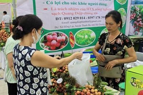 Hướng đi nào cho xuất khẩu vải thiều?