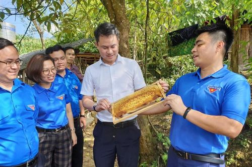 Xây dựng, hỗ trợ duy trì mô hình thanh niên phát triển kinh tế