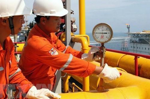Thúc đẩy dự án đường ống dẫn khí lô B - Ô Môn
