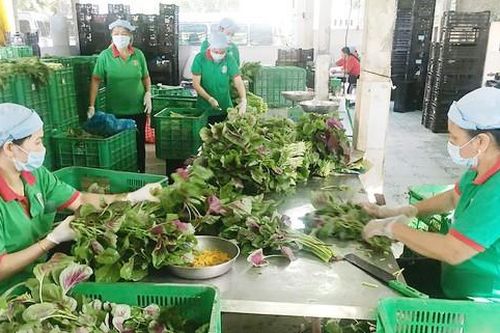 4 đối tượng được đề nghị giảm thuế thu nhập doanh nghiệp
