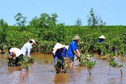 WB phê duyệt khoản vay mới hỗ trợ Việt Nam ứng phó biến đổi khí hậu